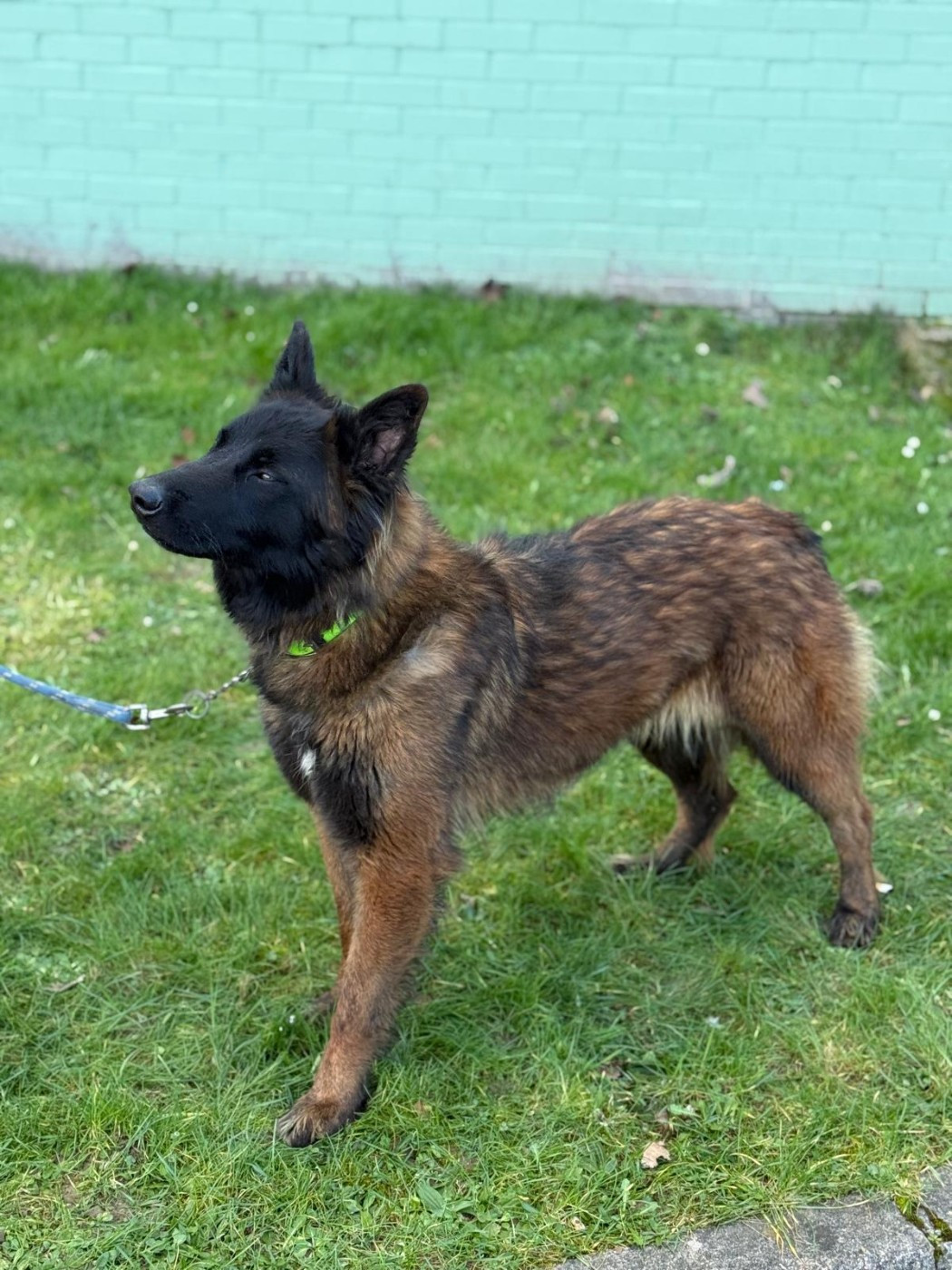 Volcane De La Patte Sacrée