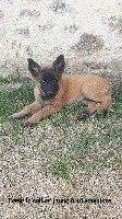 Nikita